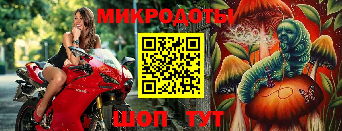 Канаш  Псилоцибиновые грибы Cubensis  Вход с VPN  Галлюциногенные грибы прущие грибы 